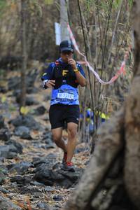 BIB: 7311
                            <button type="button" onclick="openModal(7248432)" class="btn btn-primary btn-sm float-right btn-popup" data-toggle="modal" data-target=".modal-high-quality">
                        <i class="fas fa-shopping-cart"></i> Add to Cart
                    </button>
                                            <button type="button" onclick="isThisMe(7248432, true)" class="btn btn-success btn-sm float-right btn-popup btn-isme hidden" data-toggle="tooltip" data-placement="bottom" title="นี่คือรูปของคุณใช่ไหม คลิกที่นี่เพื่อเอาเข้าอัลบั้ม">
                        <i class="fas fa-plus"></i> Add to album
                    </button>
                    <button type="button" onclick="isThisMe(7248432, false)" class="btn btn-warning btn-sm float-right btn-popup btn-isnotme hidden">
                        <i class="fas fa-ban"></i> Remove from album
                    </button>